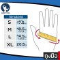 ขนาดถุงมือยิม Weight Lifting Gloves