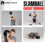 Slam ball