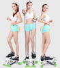 mini stepper4