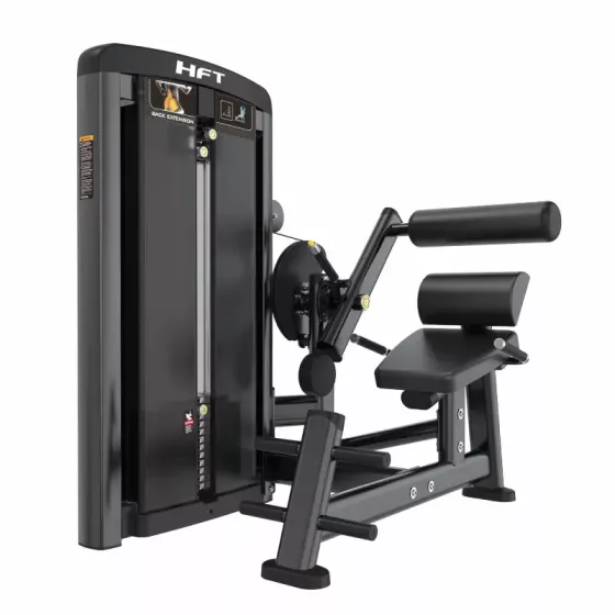 เครื่อง Back Extension DDJ18 เครื่องฝึกหลังล่าง Pin-Selected Commercial สำหรับฟิตเนสมืออาชีพ