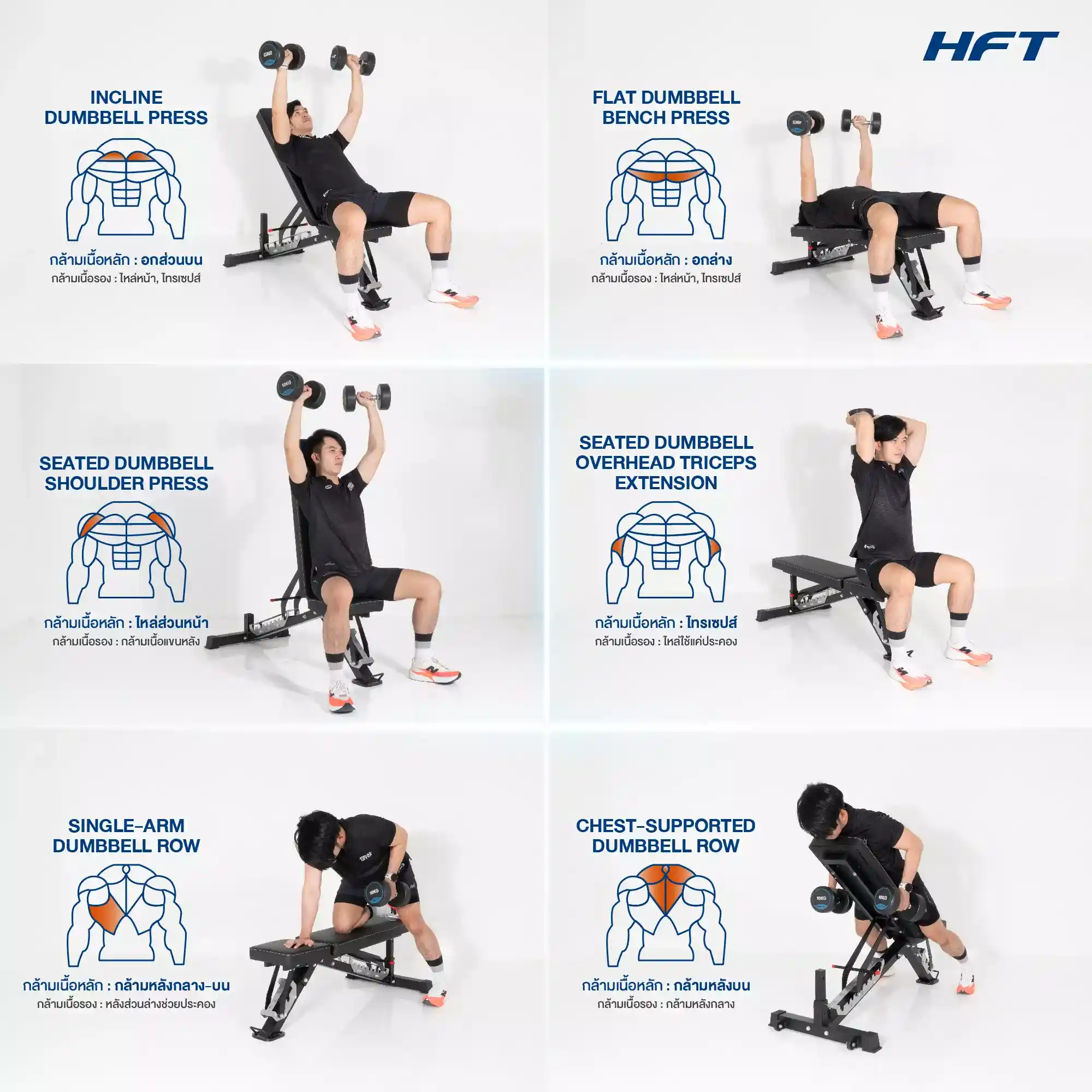 เปรียบเทียบ FORCE 3
