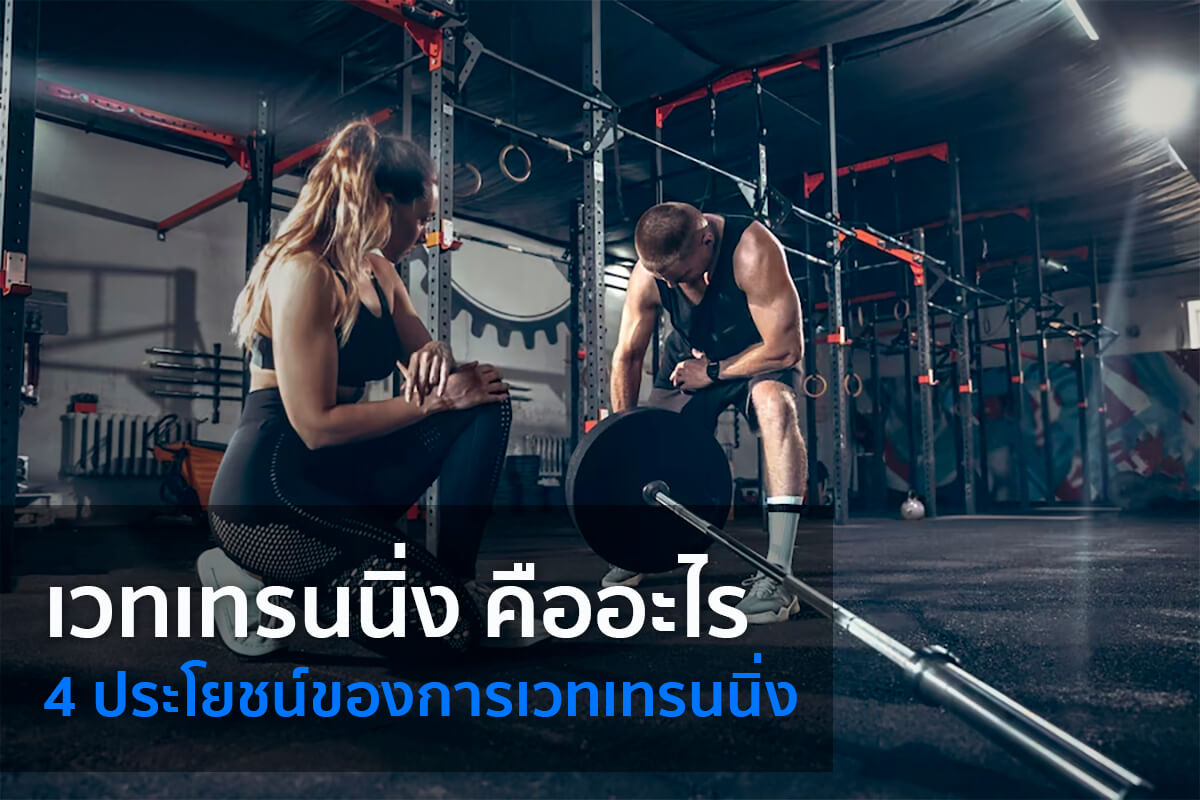 เวทเทรนนิ่ง เวทเทรนนิ่ง
