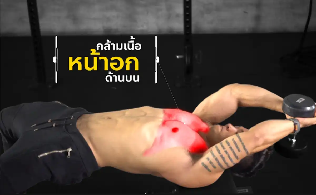 Dumbbell Pullover กล้ามเนื้อที่ได้ - 1