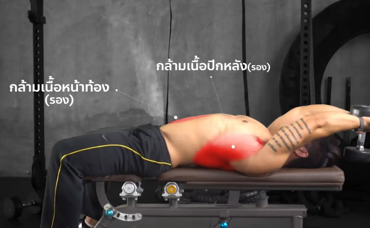 Dumbbell Pullover กล้ามเนื้อที่ได้ - 2