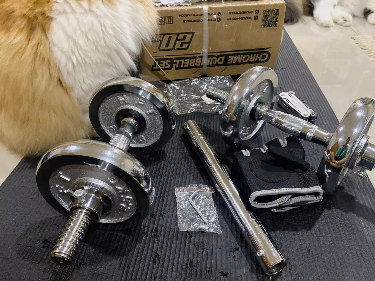 review Dumbbell 3