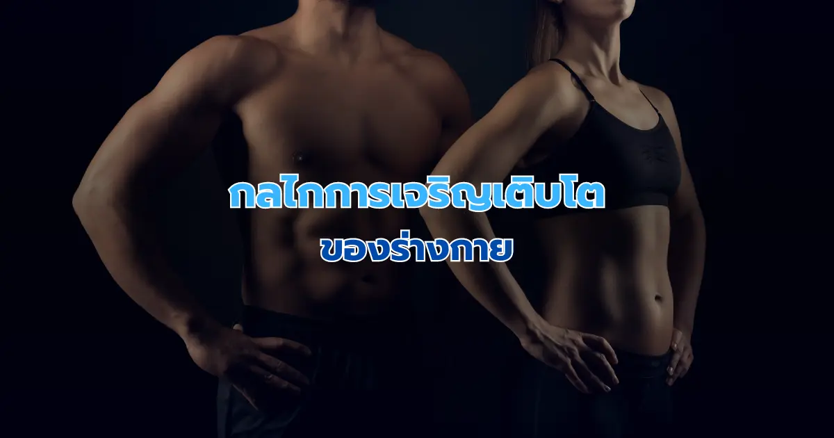 กลไกการเจริญเติบโตของร่างกาย